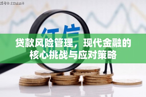 宝兴贷款风险管理，现代金融的核心挑战与应对策略