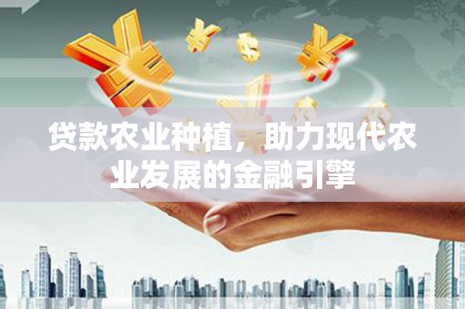 宝兴贷款农业种植，助力现代农业发展的金融引擎