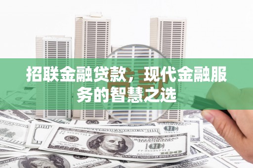 宝兴招联金融贷款，现代金融服务的智慧之选
