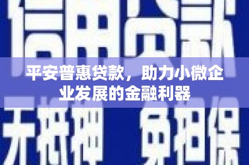宝兴平安普惠贷款，助力小微企业发展的金融利器