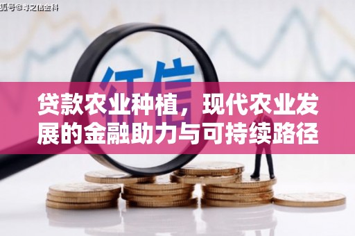 宝兴贷款农业种植，现代农业发展的金融助力与可持续路径