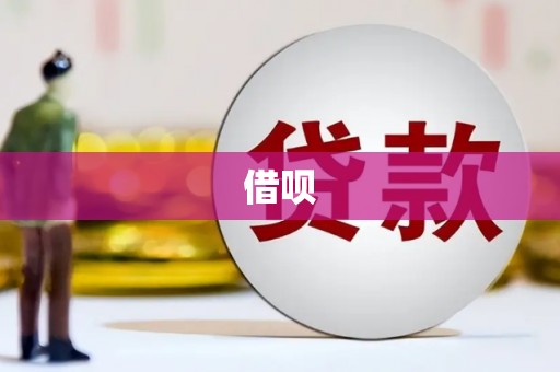 宝兴借呗