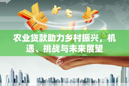 宝兴农业贷款助力乡村振兴，机遇、挑战与未来展望