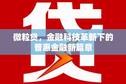 宝兴微粒贷，金融科技革新下的普惠金融新篇章