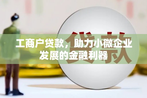宝兴工商户贷款，助力小微企业发展的金融利器