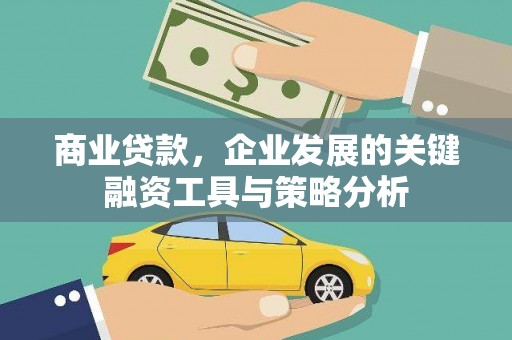宝兴商业贷款，企业发展的关键融资工具与策略分析