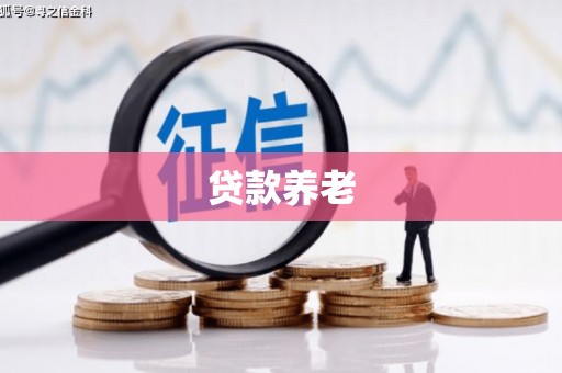 宝兴贷款养老
