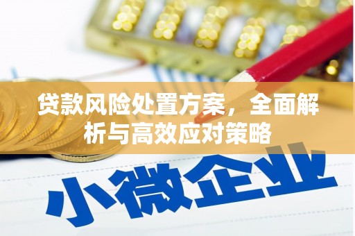 宝兴贷款风险处置方案，全面解析与高效应对策略