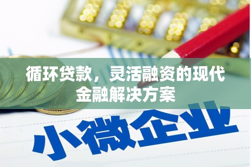 宝兴循环贷款，灵活融资的现代金融解决方案