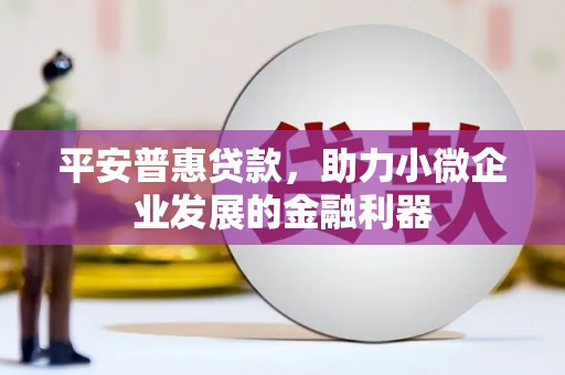 宝兴平安普惠贷款，助力小微企业发展的金融利器