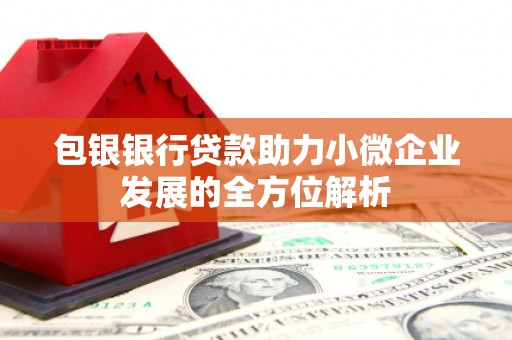 宝兴包银银行贷款助力小微企业发展的全方位解析
