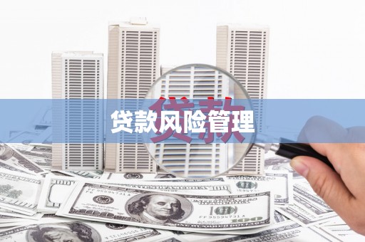 宝兴贷款风险管理