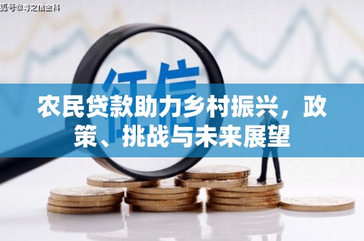 宝兴农民贷款助力乡村振兴，政策、挑战与未来展望