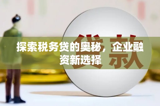 宝兴探索税务贷的奥秘，企业融资新选择