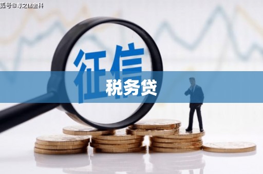 宝兴税务贷