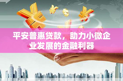 宝兴平安普惠贷款，助力小微企业发展的金融利器