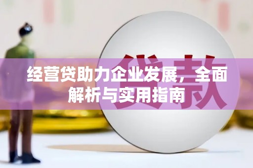宝兴经营贷助力企业发展，全面解析与实用指南