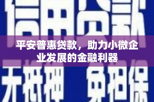宝兴平安普惠贷款，助力小微企业发展的金融利器
