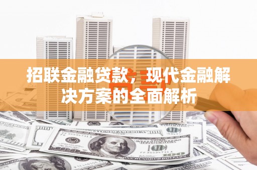 宝兴招联金融贷款，现代金融解决方案的全面解析