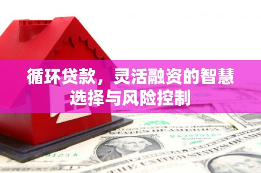 宝兴循环贷款，灵活融资的智慧选择与风险控制