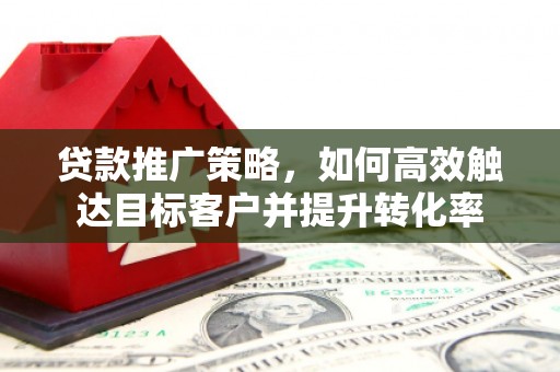 宝兴贷款推广策略，如何高效触达目标客户并提升转化率
