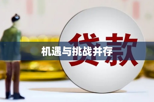 宝兴机遇与挑战并存