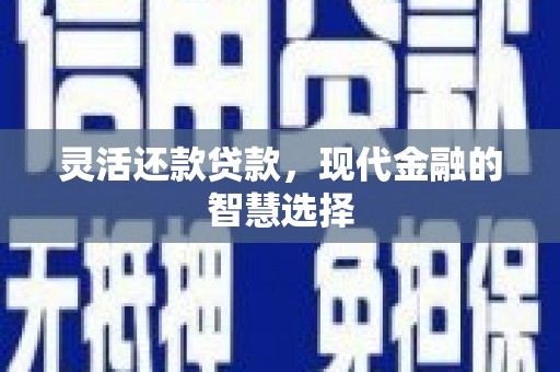 宝兴灵活还款贷款，现代金融的智慧选择