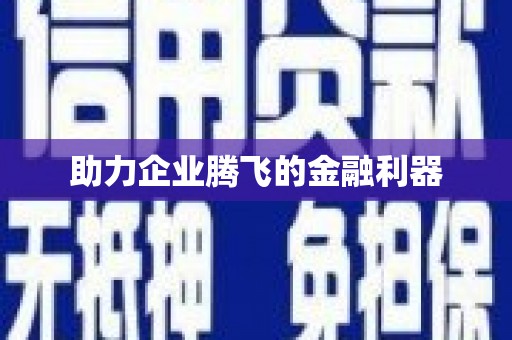 宝兴助力企业腾飞的金融利器