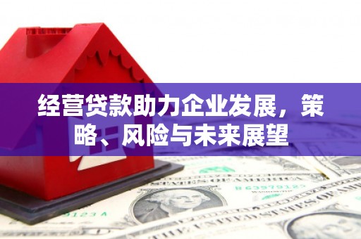 宝兴经营贷款助力企业发展，策略、风险与未来展望