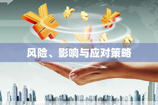 宝兴风险、影响与应对策略
