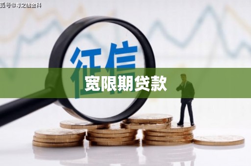 宝兴宽限期贷款