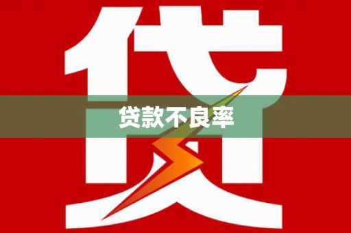 宝兴贷款不良率