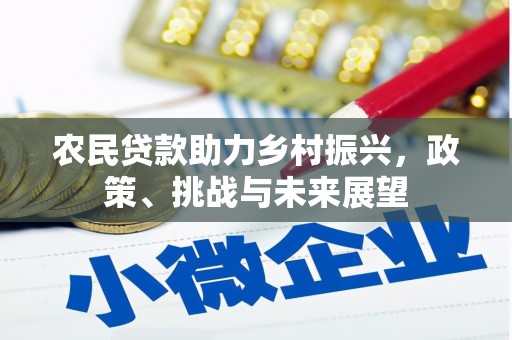 宝兴农民贷款助力乡村振兴，政策、挑战与未来展望