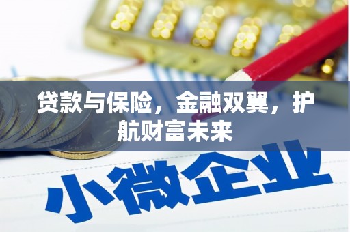 宝兴贷款与保险，金融双翼，护航财富未来