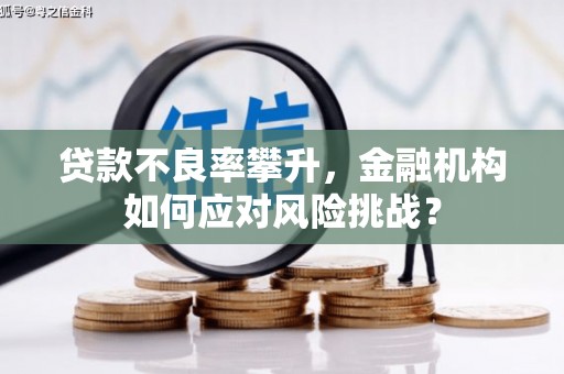 宝兴贷款不良率攀升，金融机构如何应对风险挑战？