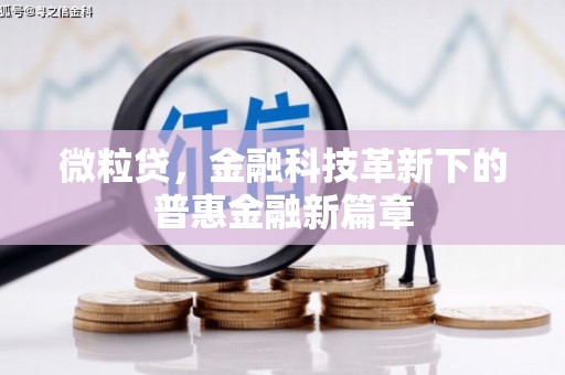 宝兴微粒贷，金融科技革新下的普惠金融新篇章