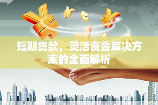 宝兴短期贷款，灵活资金解决方案的全面解析