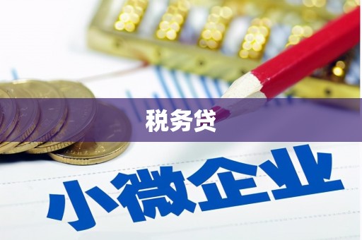 宝兴税务贷