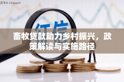 宝兴畜牧贷款助力乡村振兴，政策解读与实施路径