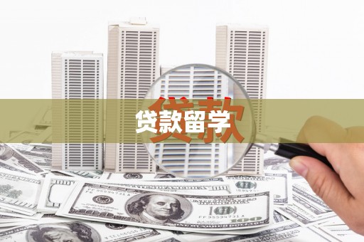 宝兴贷款留学