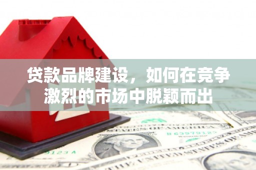 宝兴贷款品牌建设，如何在竞争激烈的市场中脱颖而出