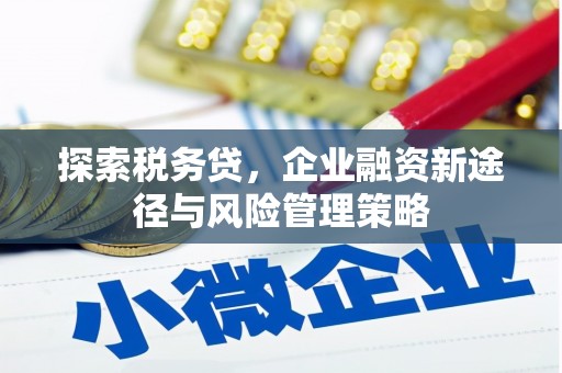 宝兴探索税务贷，企业融资新途径与风险管理策略