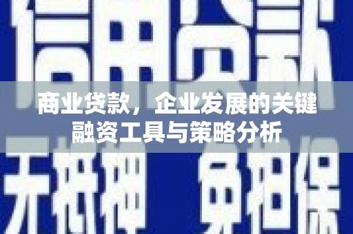 宝兴商业贷款，企业发展的关键融资工具与策略分析