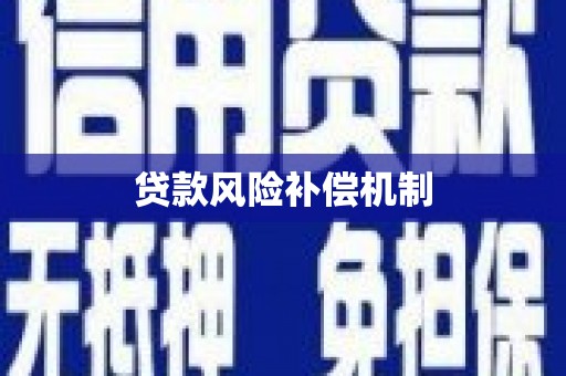 宝兴贷款风险补偿机制