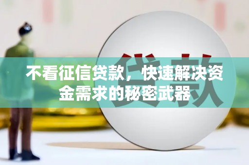 宝兴不看征信贷款，快速解决资金需求的秘密武器