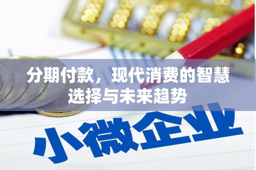 宝兴分期付款，现代消费的智慧选择与未来趋势