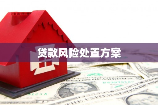 宝兴贷款风险处置方案