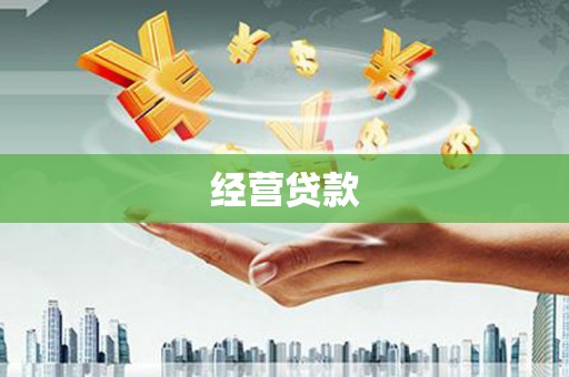 宝兴经营贷款