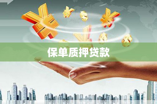 宝兴保单质押贷款