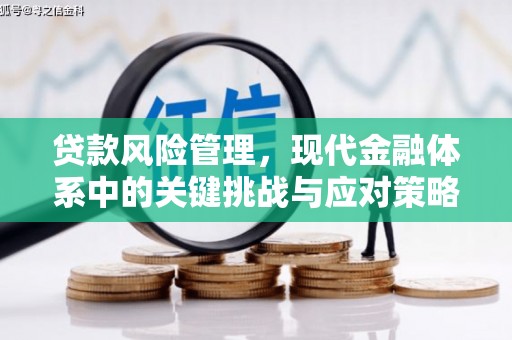 宝兴贷款风险管理，现代金融体系中的关键挑战与应对策略